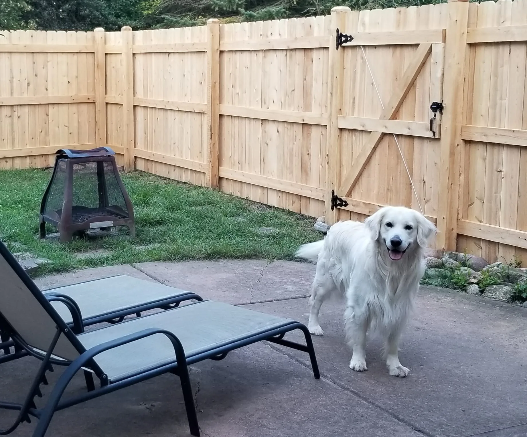 kenosha dog fence installation services