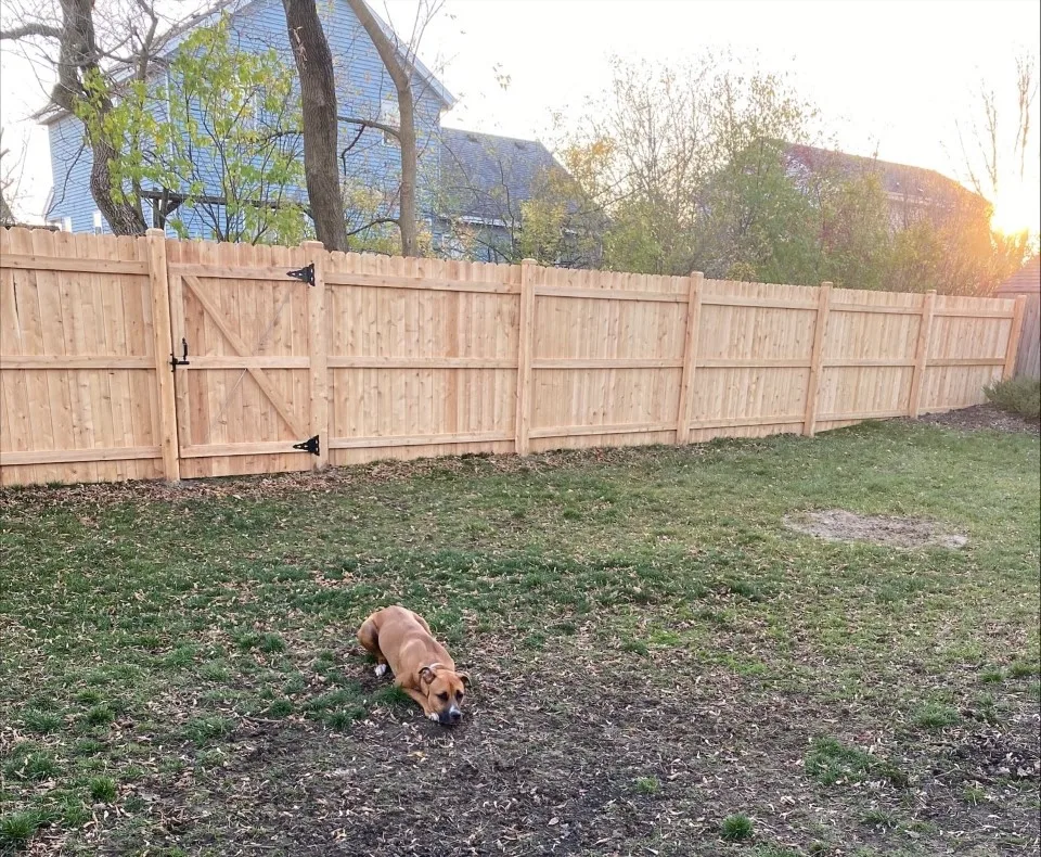 Kenosha Dog Fencing