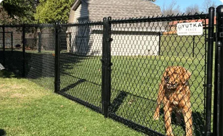 Milwaukee Dog Fence Company
