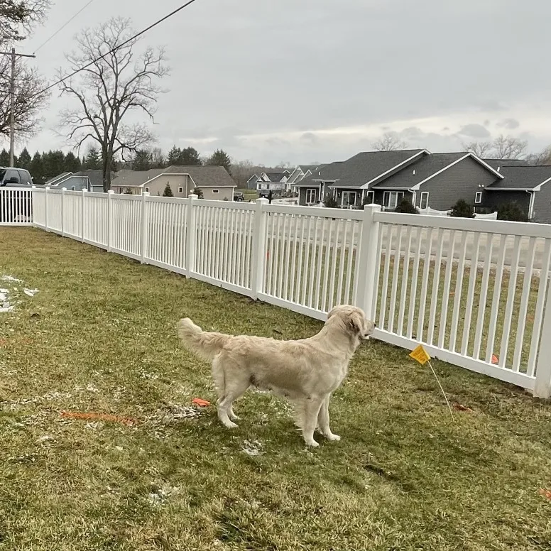 Oak Creek Dog Fencing