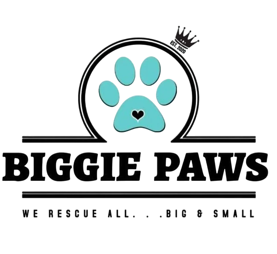 Biggie Paws