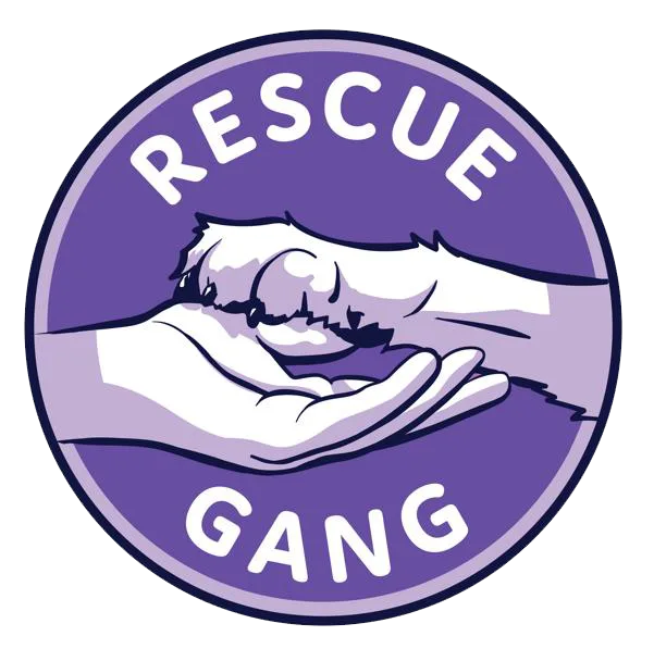 Rescue Gang