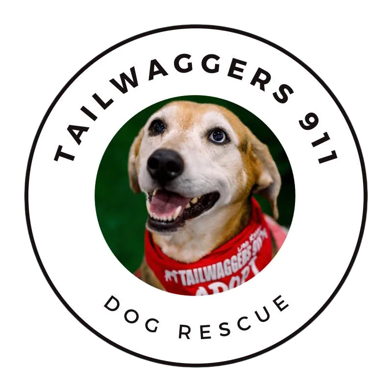 Tailwaggers 911 Dog Rescue