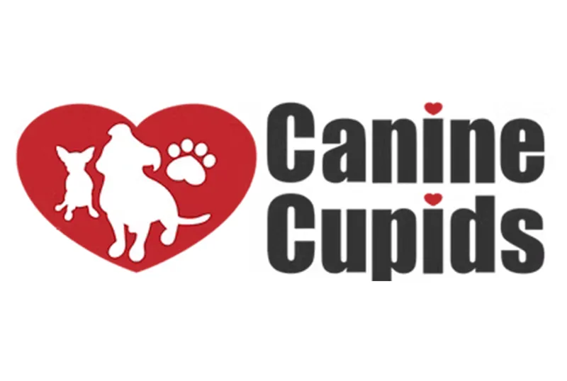 Canine cupids